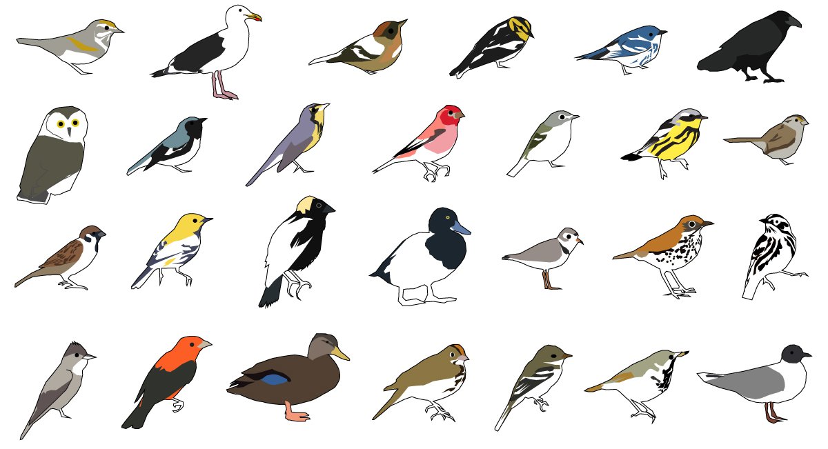 These New York Birds Are Most Vulnerable To Climate Change Gothamist