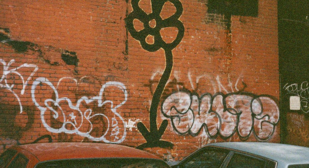The Flower Guy Looks Back On 25 Years Of New York Graffiti Gothamist