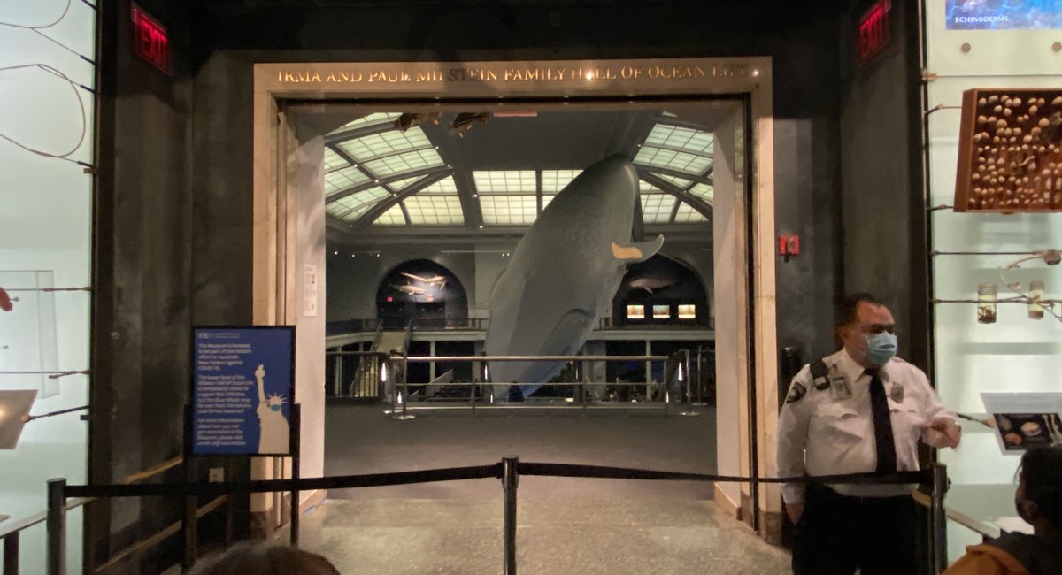 New York's Hottest Vaccination Site Is Now The American Museum Of Natural History Gothamist