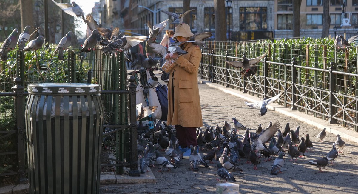 Early Addition About that Zillow listing with a to POUNDTOWN