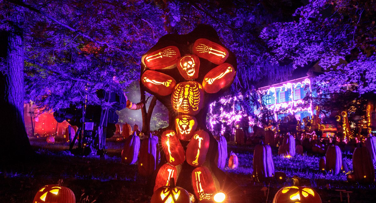Photos The Great Jack O'Lantern Blaze Is Still NY's Most Magical