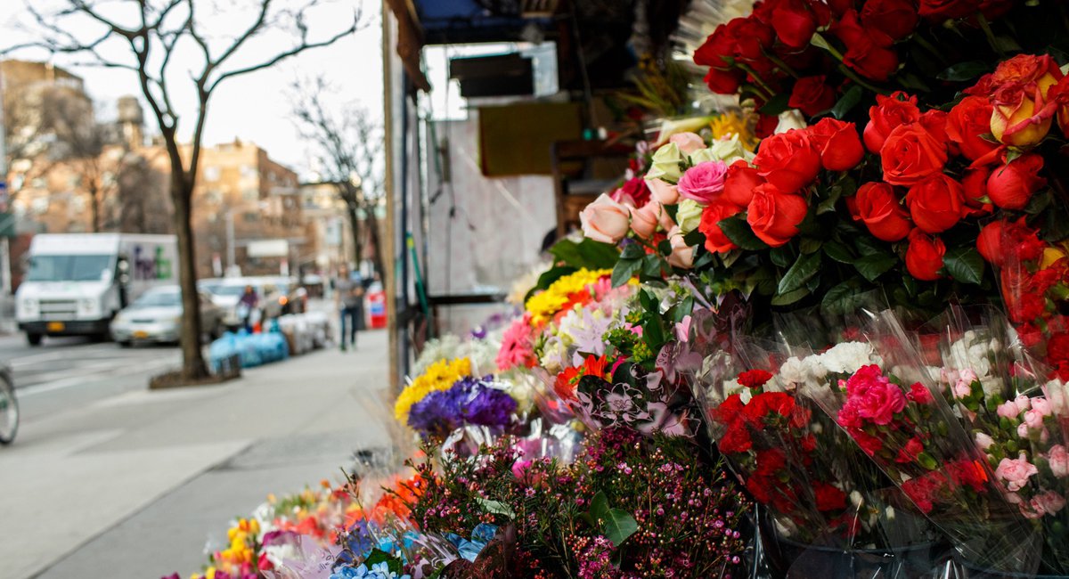 Where Do Bodega Flowers Come From? Gothamist