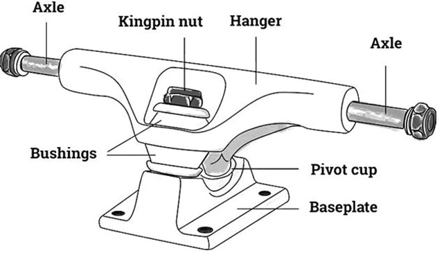 The Anatomy of a Skateboard: A Beginner’s Guide to Skateboard Parts