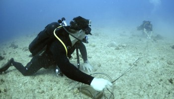 Who are the Underwater Demolition Teams blowing up Nigerian oil infrastructure?