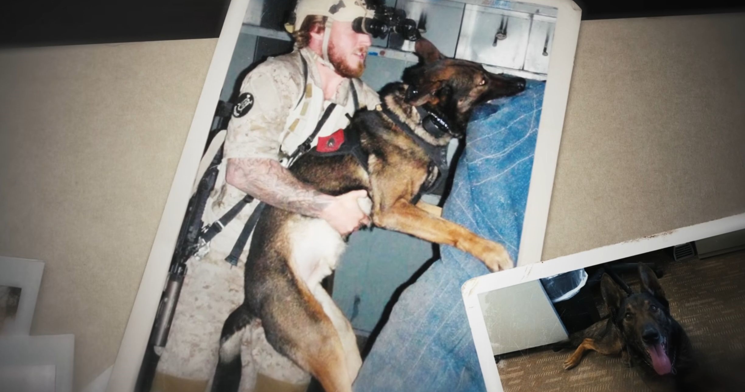 The Dogs of War Remembering Cairo SOFREP