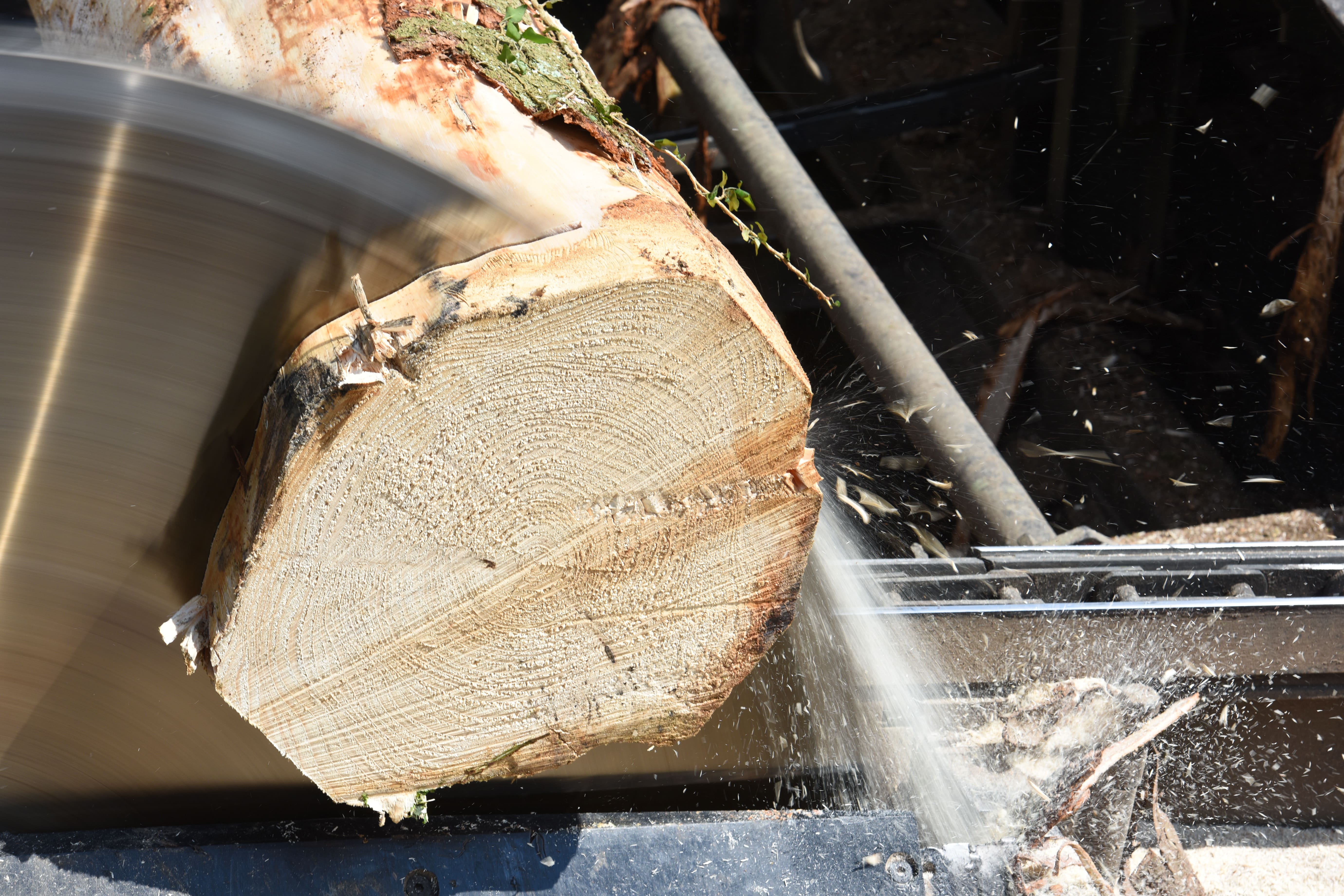 Industrial Noise Control for Woodworking Industry