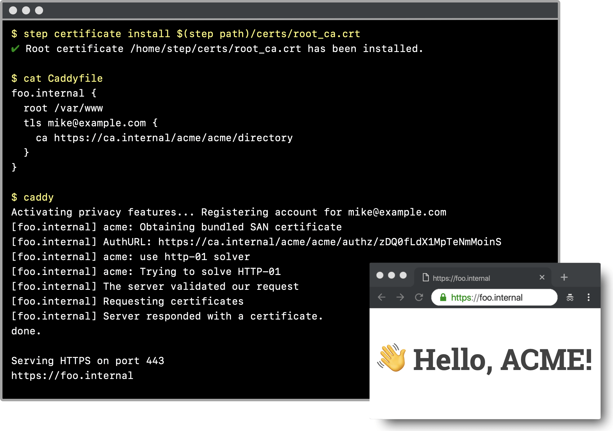 Run your own private CA & ACME server using stepca