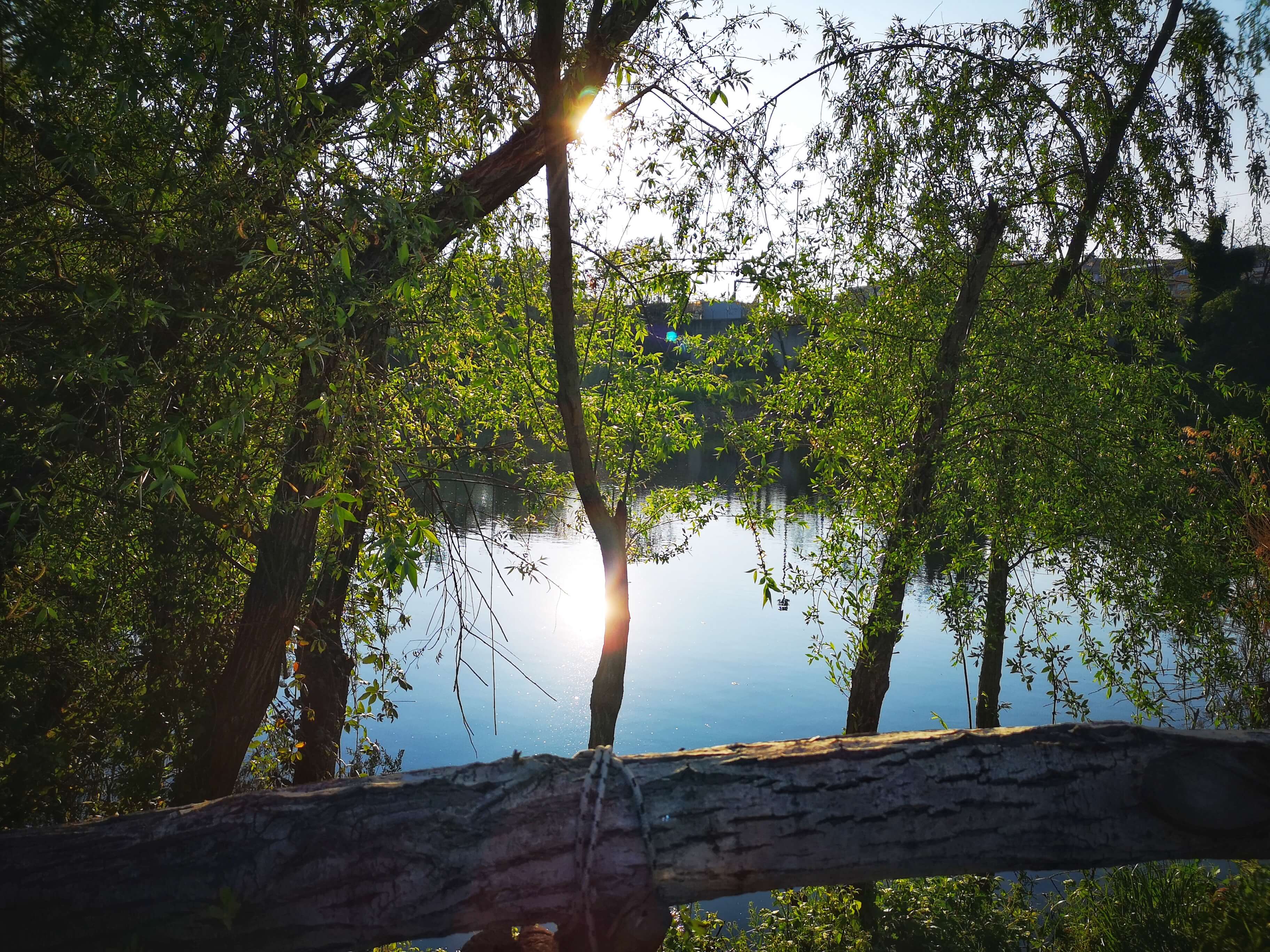 The 7 Best Lakes Near Rome You Need to Visit This Summer Through Eternity Tours