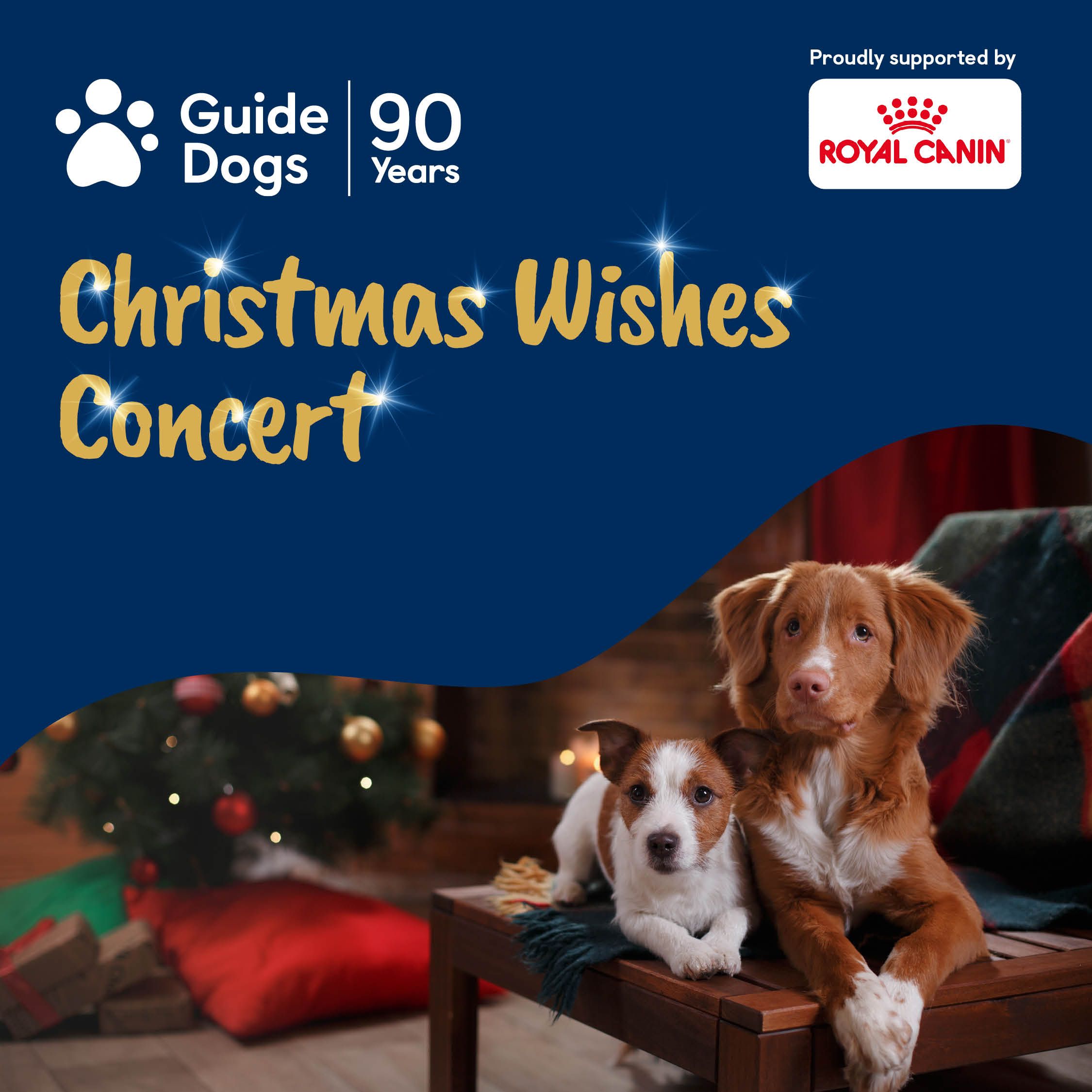 ‘Tis the season fundraiser events in December Ticketpass