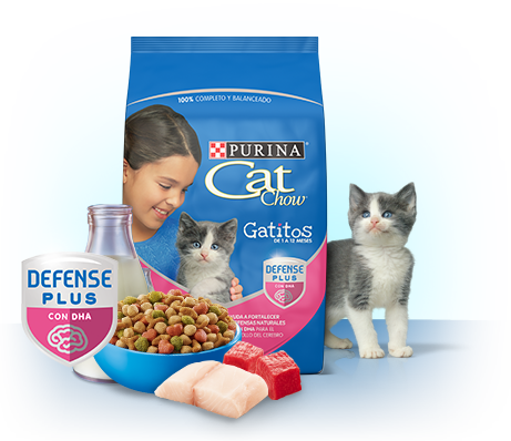 Productos Para Gato | Tobi Pet Shop Costa Rica