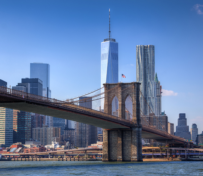 How to travel with your pet Volaris