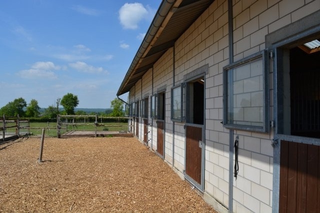 Home Grenzlandimmo