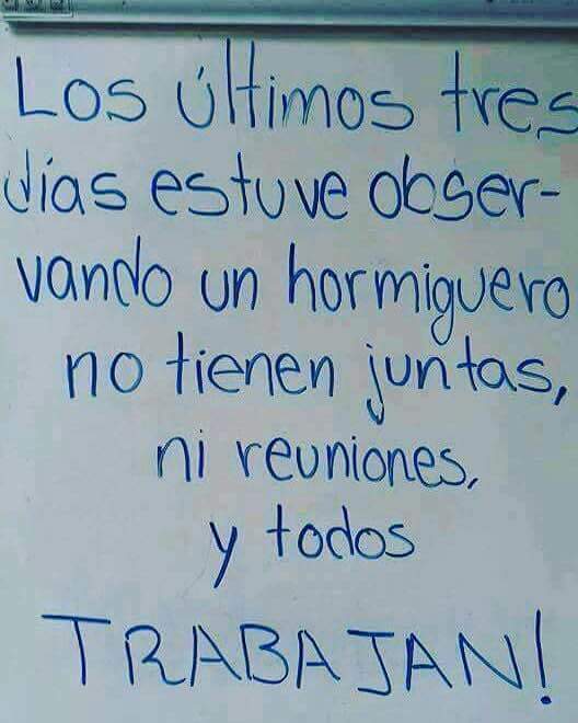 Los memes más graciosos sobre el trabajo Noticias