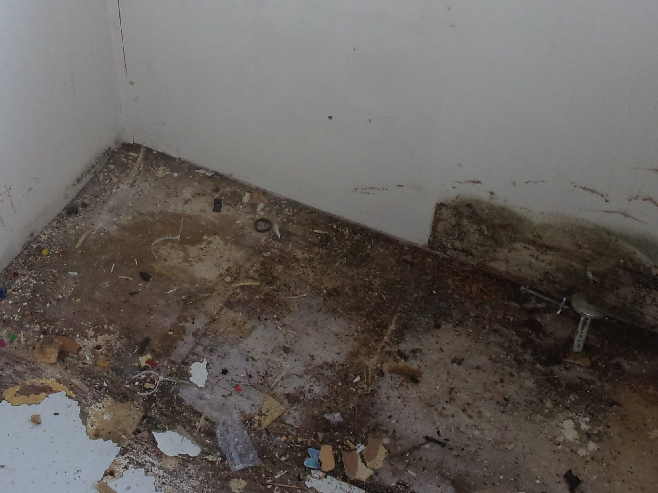 Dishwasher on the Fritz CMS Restoration Blog Article