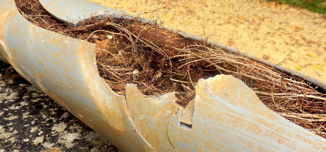 What Causes Water Pipes to Burst? CMS Restoration