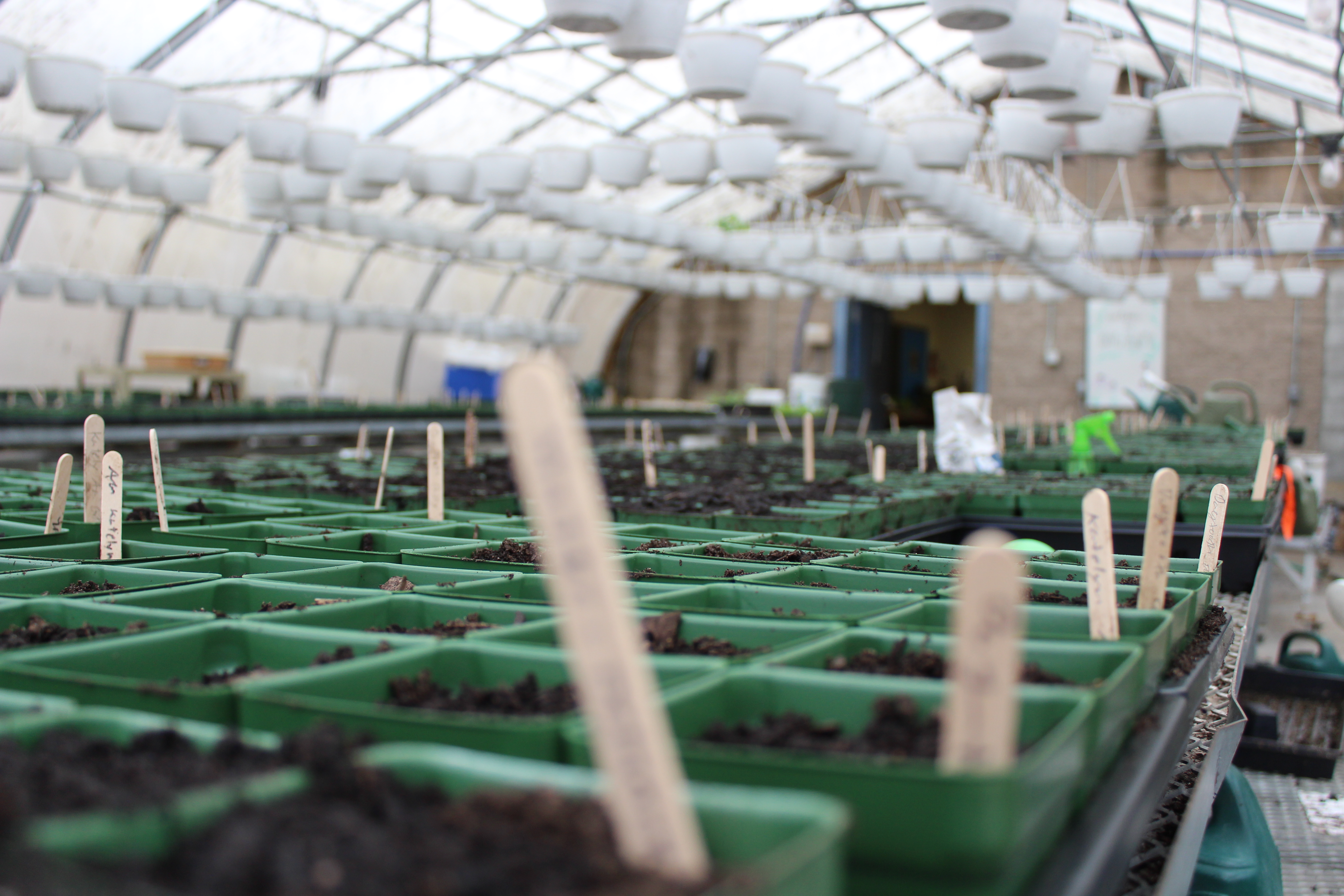 Home Gladwin Community Schools Home Gladwin Community Schools