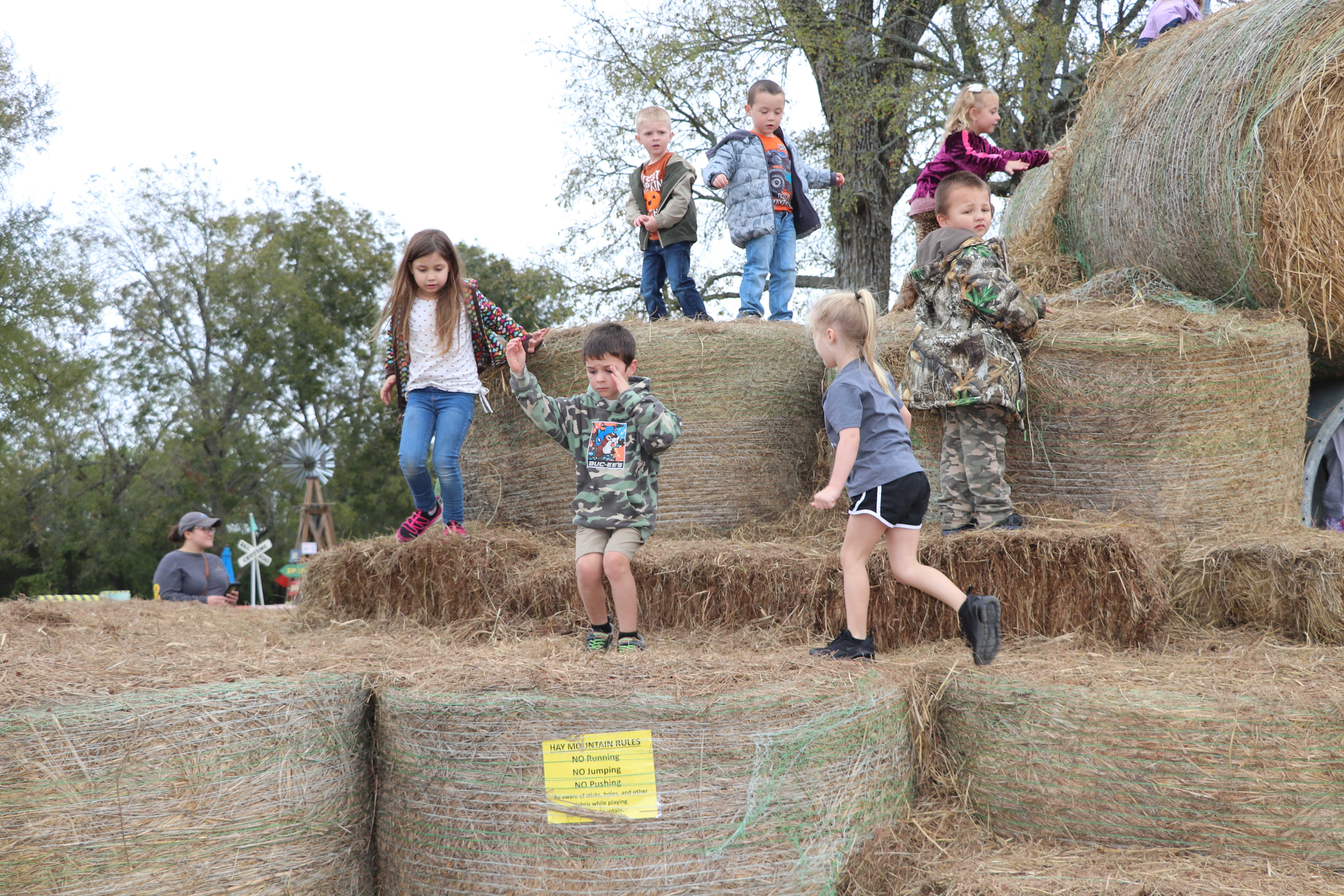 Elementary School Pictures Rattan Public School