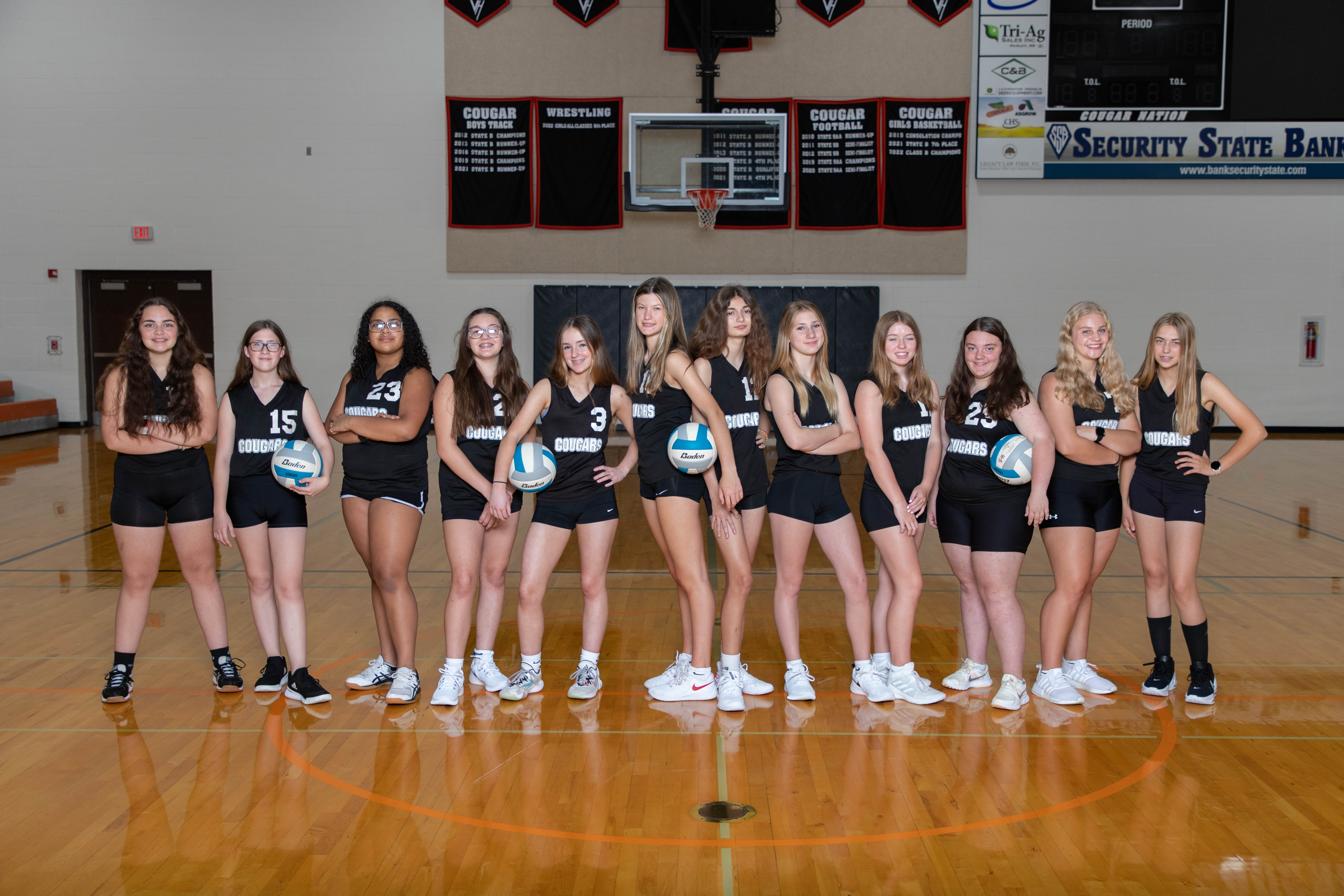 Volleyball School District