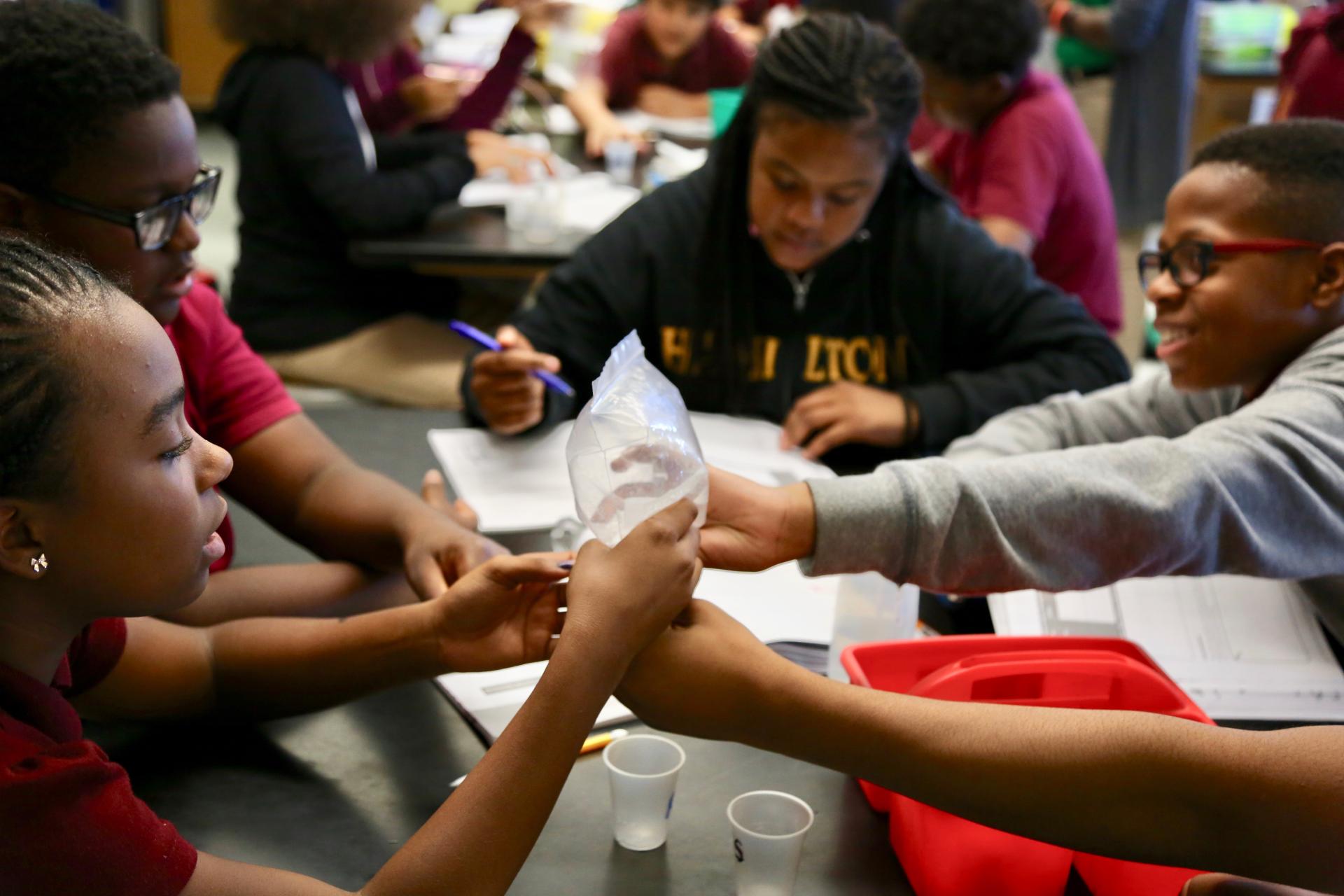 Hamilton Elementary/Middle School Baltimore City Public Schools