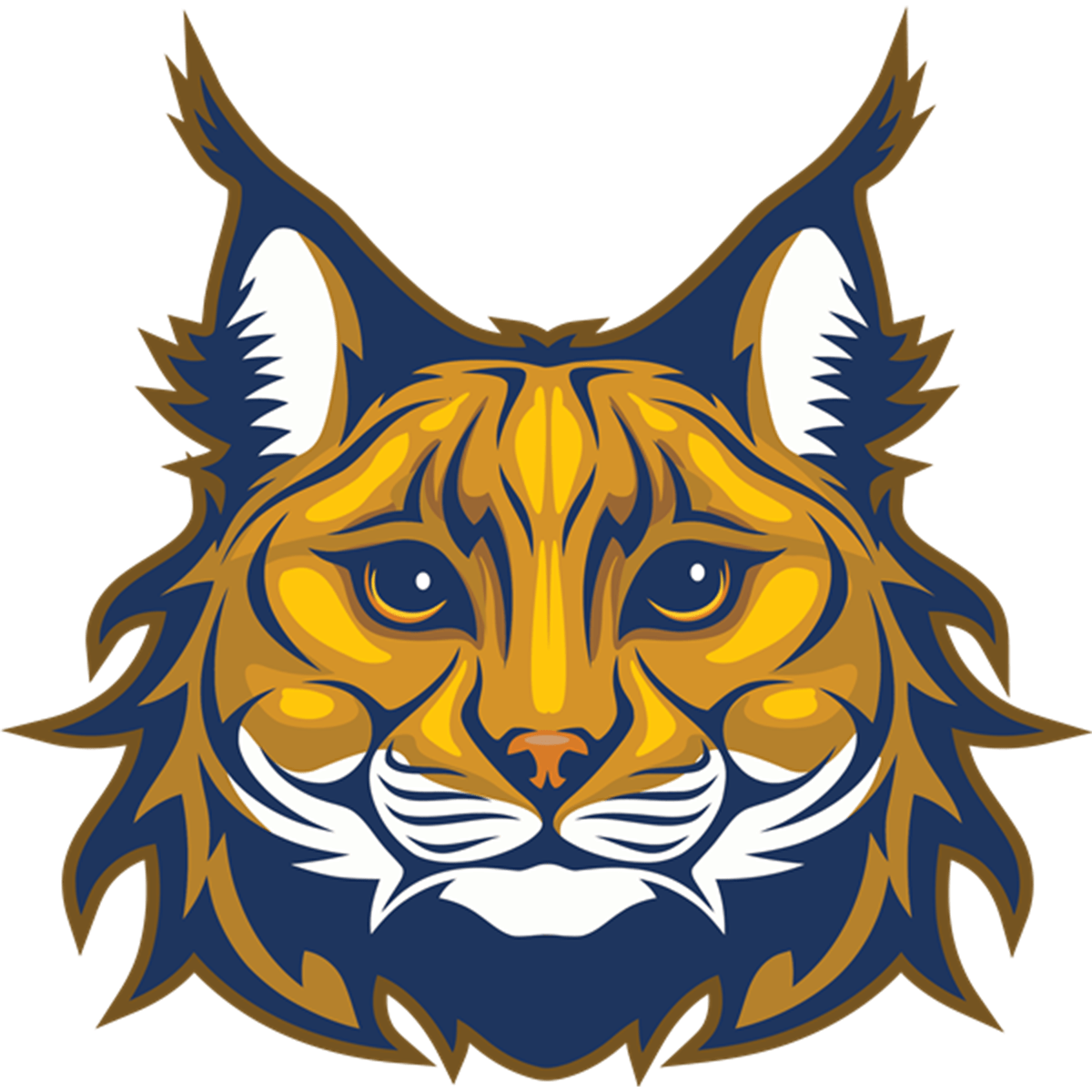 Forms Annie R. Elementary