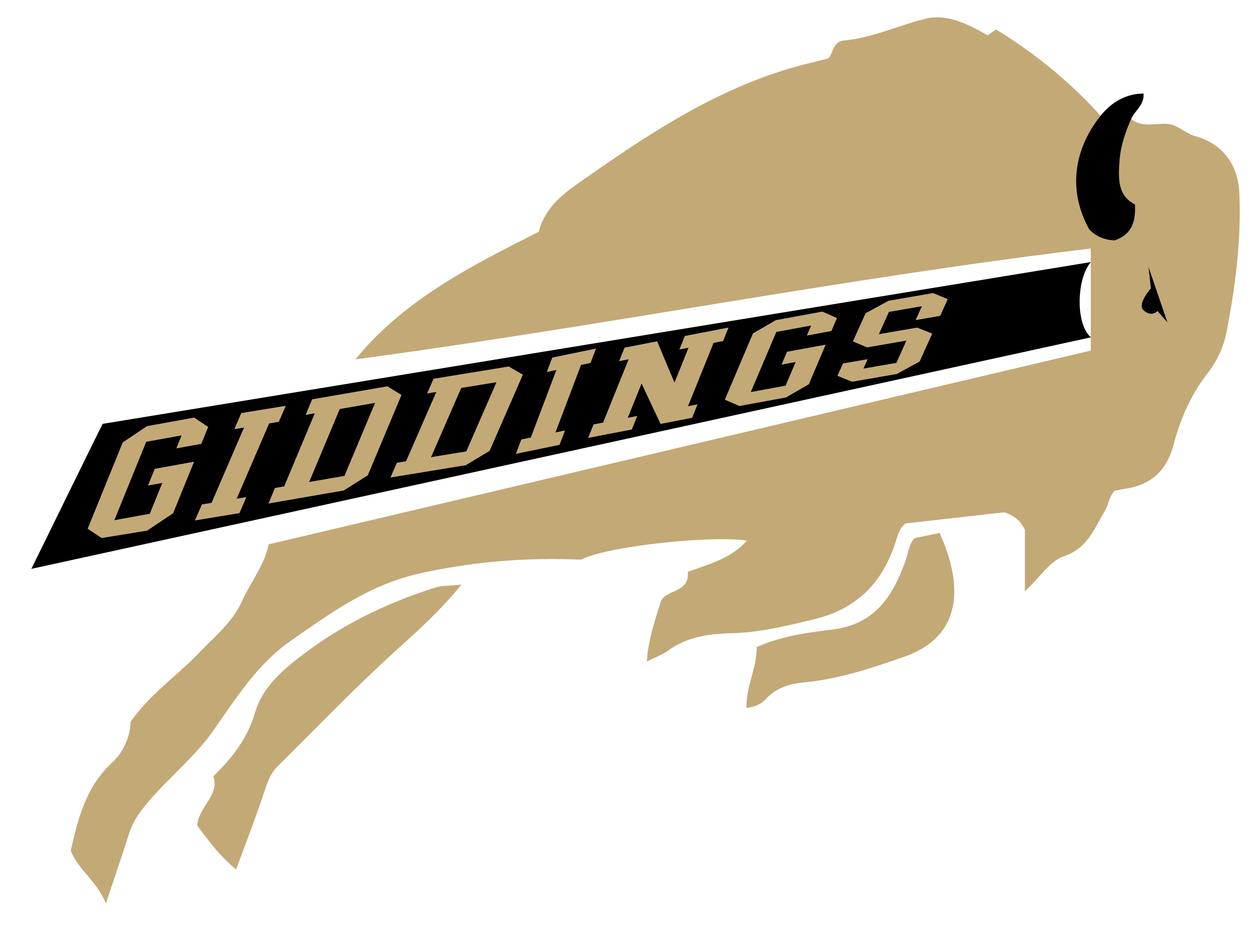 Home Giddings Intermediate School