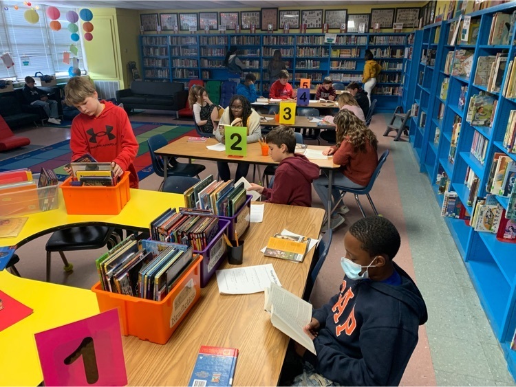 Library Ackerman Elementary School