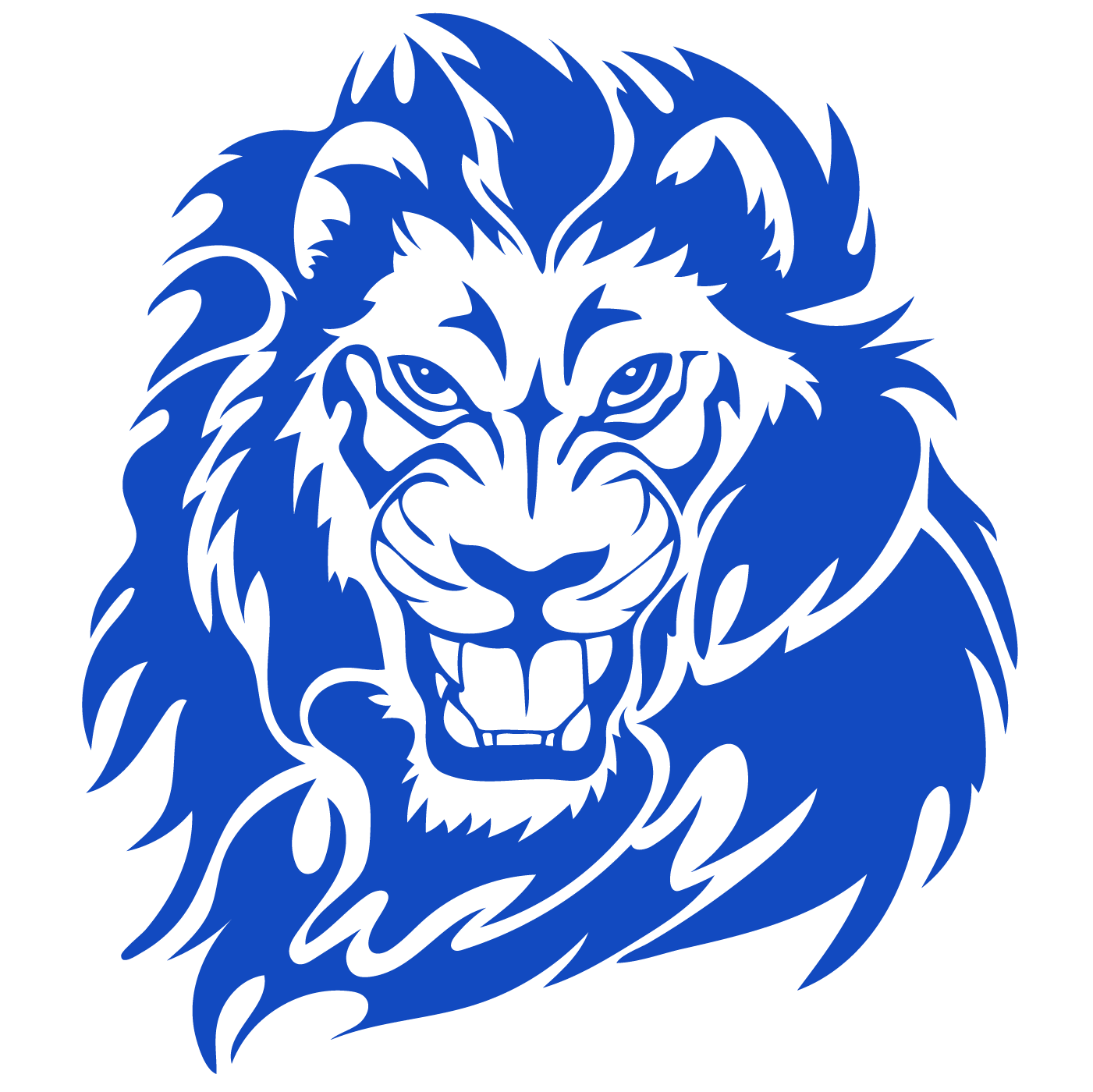 Live Feed Morrill Elementary School