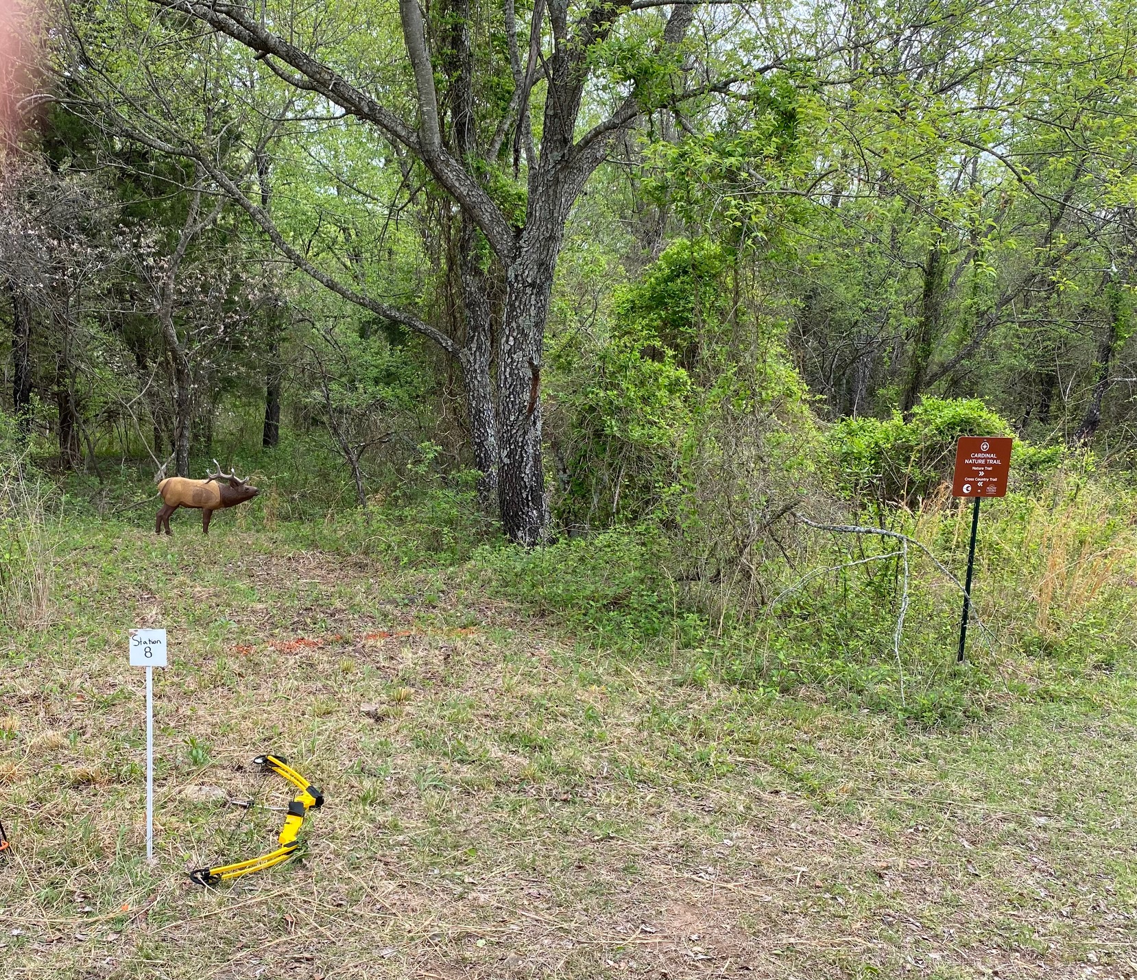 3D Archery Competition 4/09/2021 Cleora Public School