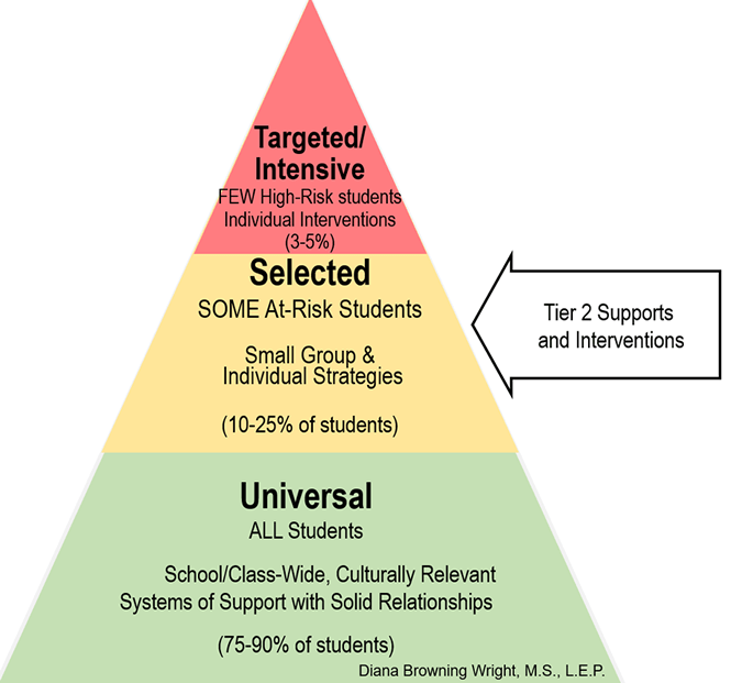 CSD Tiered Instruction/Intervention Model Chatham School District