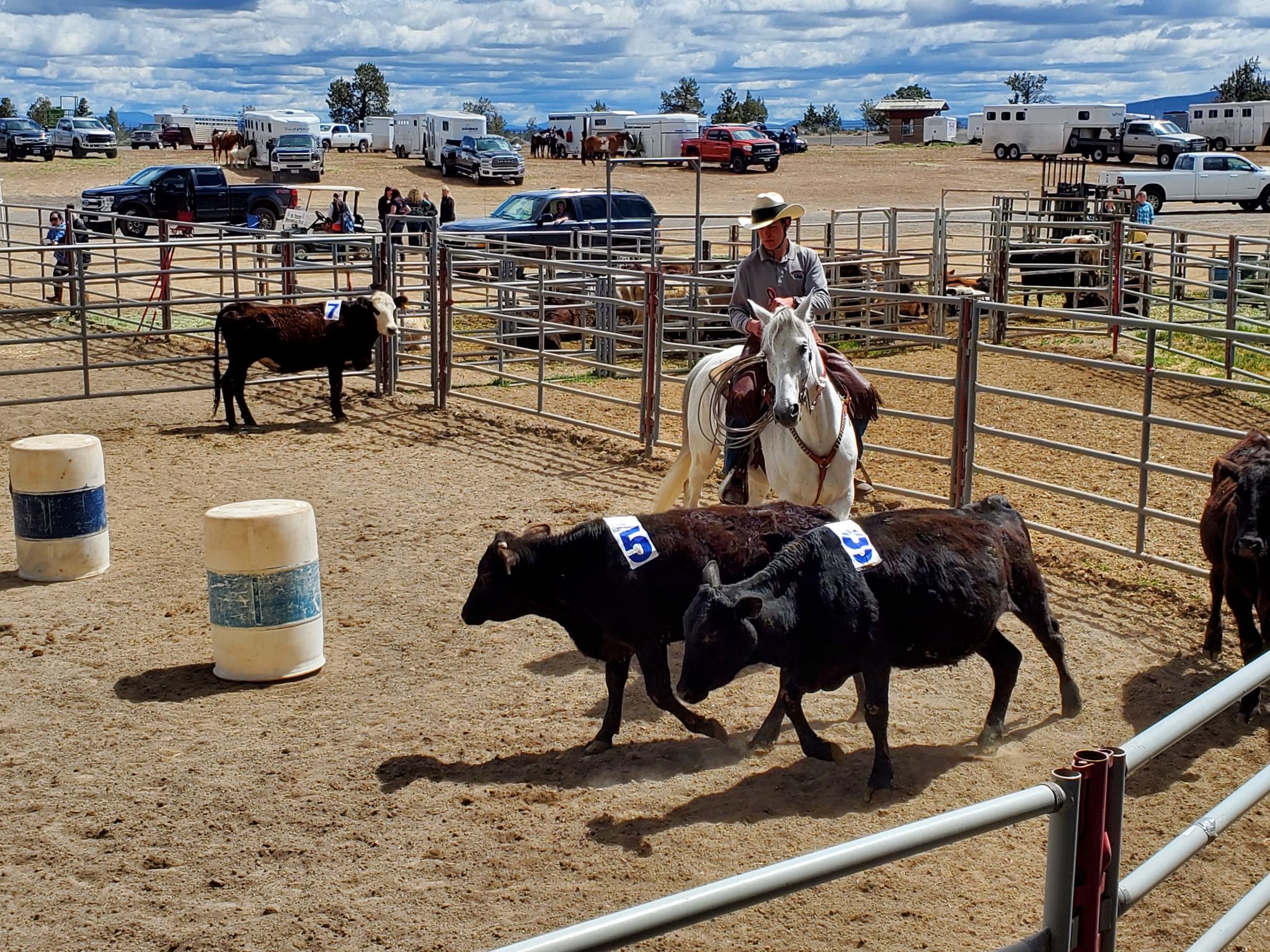 Equestrian Myrtle Point School District 41