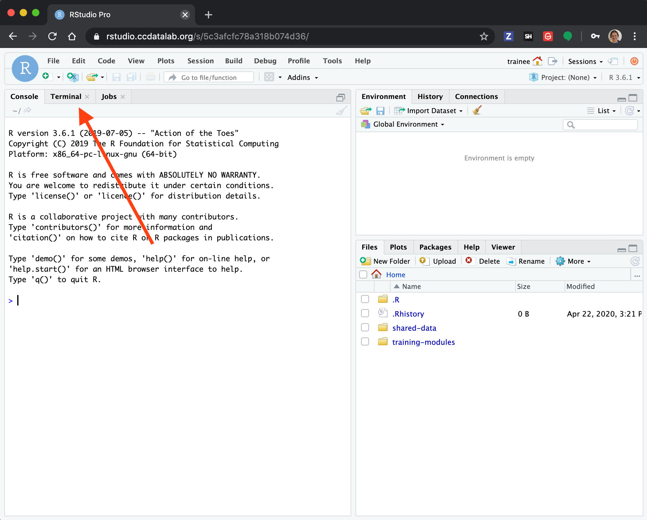 RStudio Server Set Up CCDL Virtual
