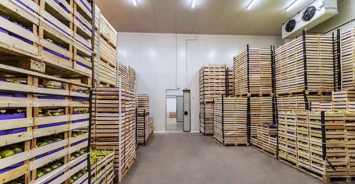 How Much Cost to Build a Cold Storage?