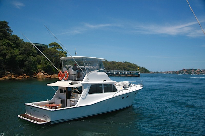 HIGHLANDER Boat Sydney Harbour Hire a boat for Australia Day
