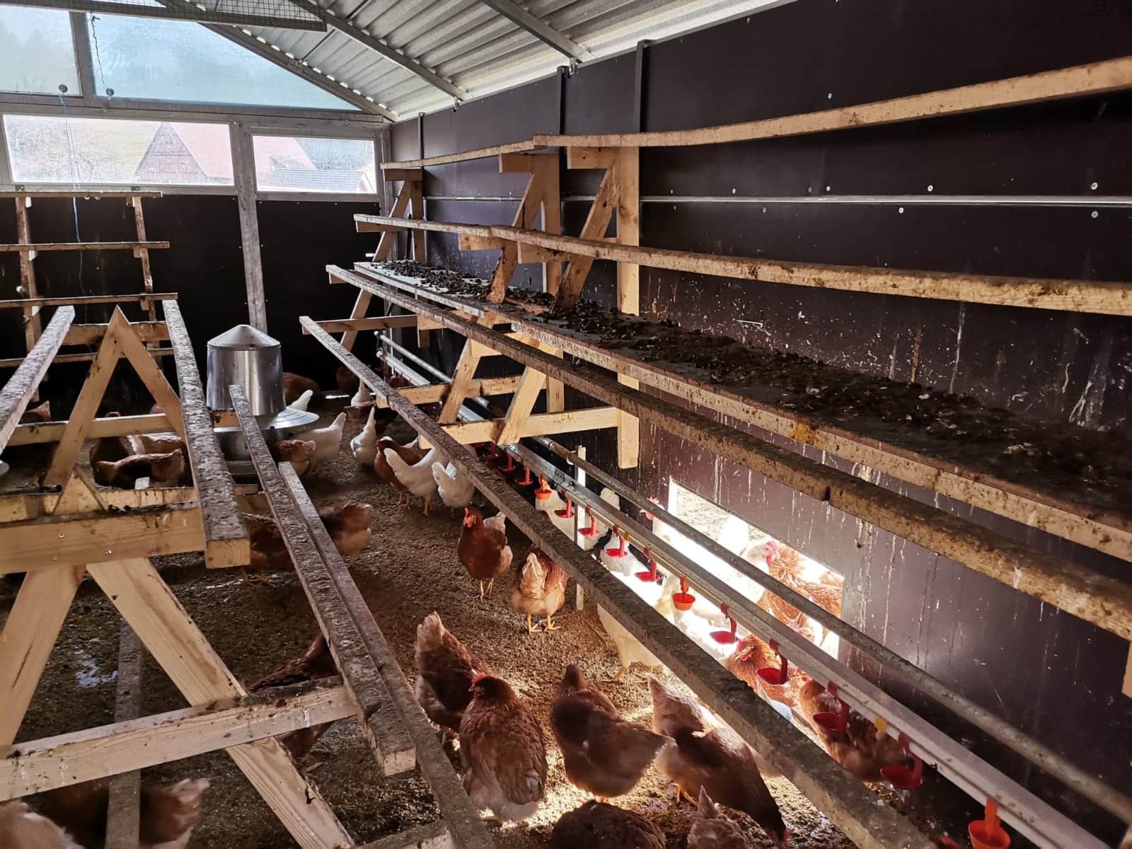 Stort hønsehus flytbar CN AGRO