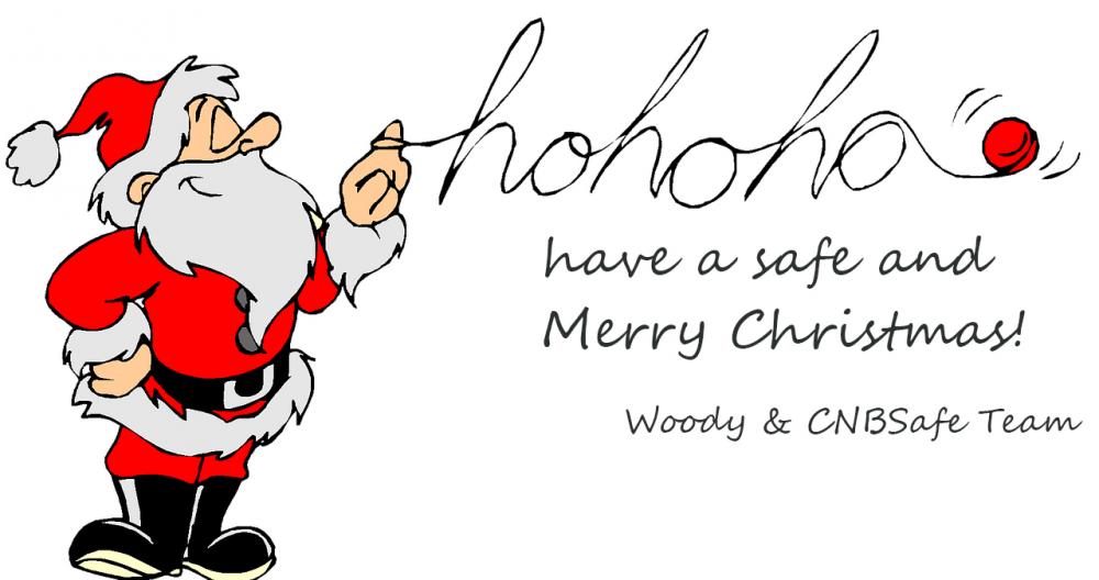 Wheels in Motion December 2017 All I Want for Christmas CNB Safe