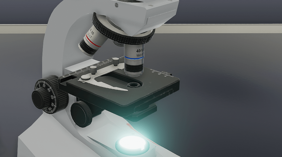 Examining the Evidence Benefits of Virtual Microscope Simulations CNDG