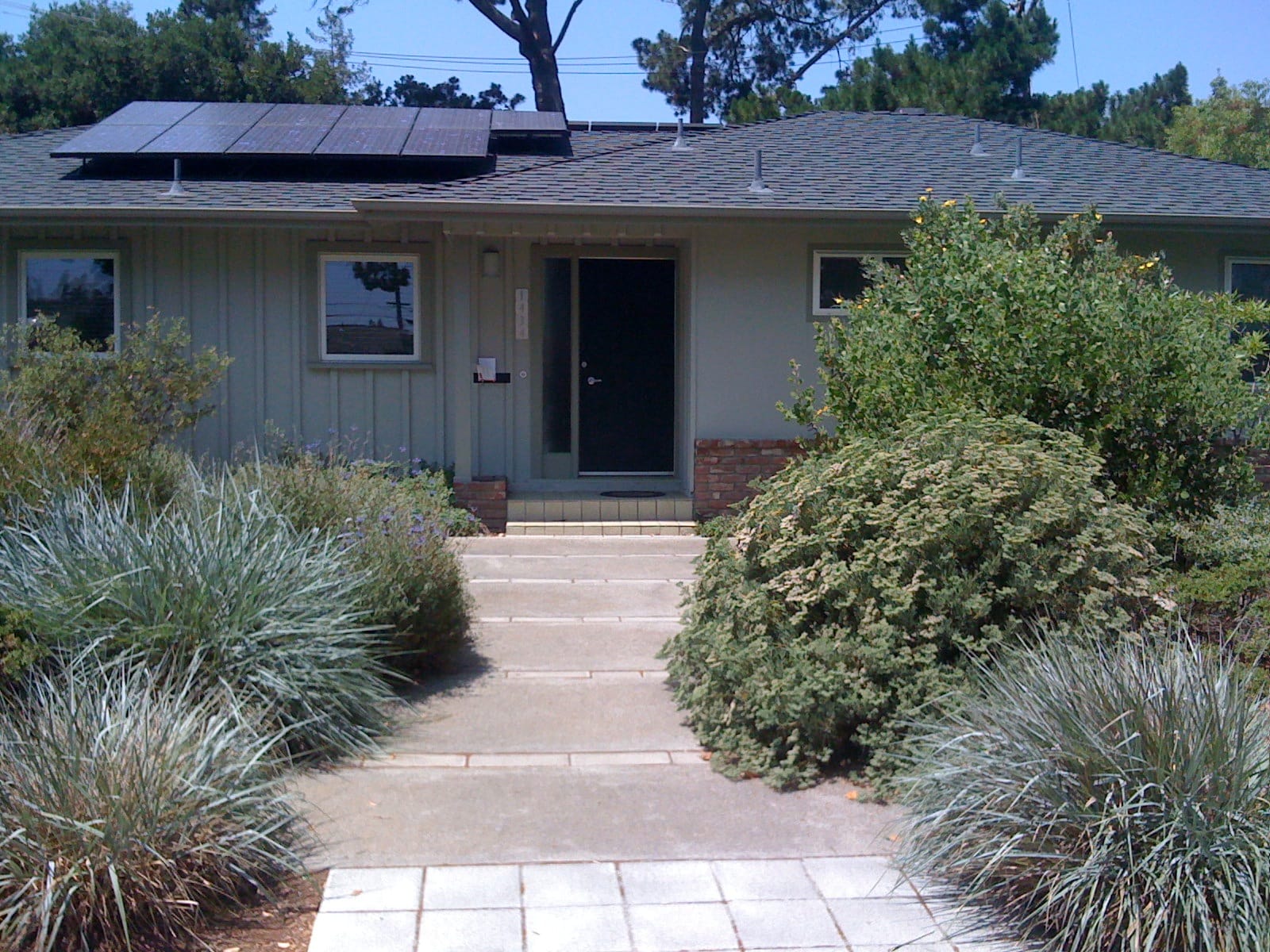 Design & Build California Native Garden Foundation