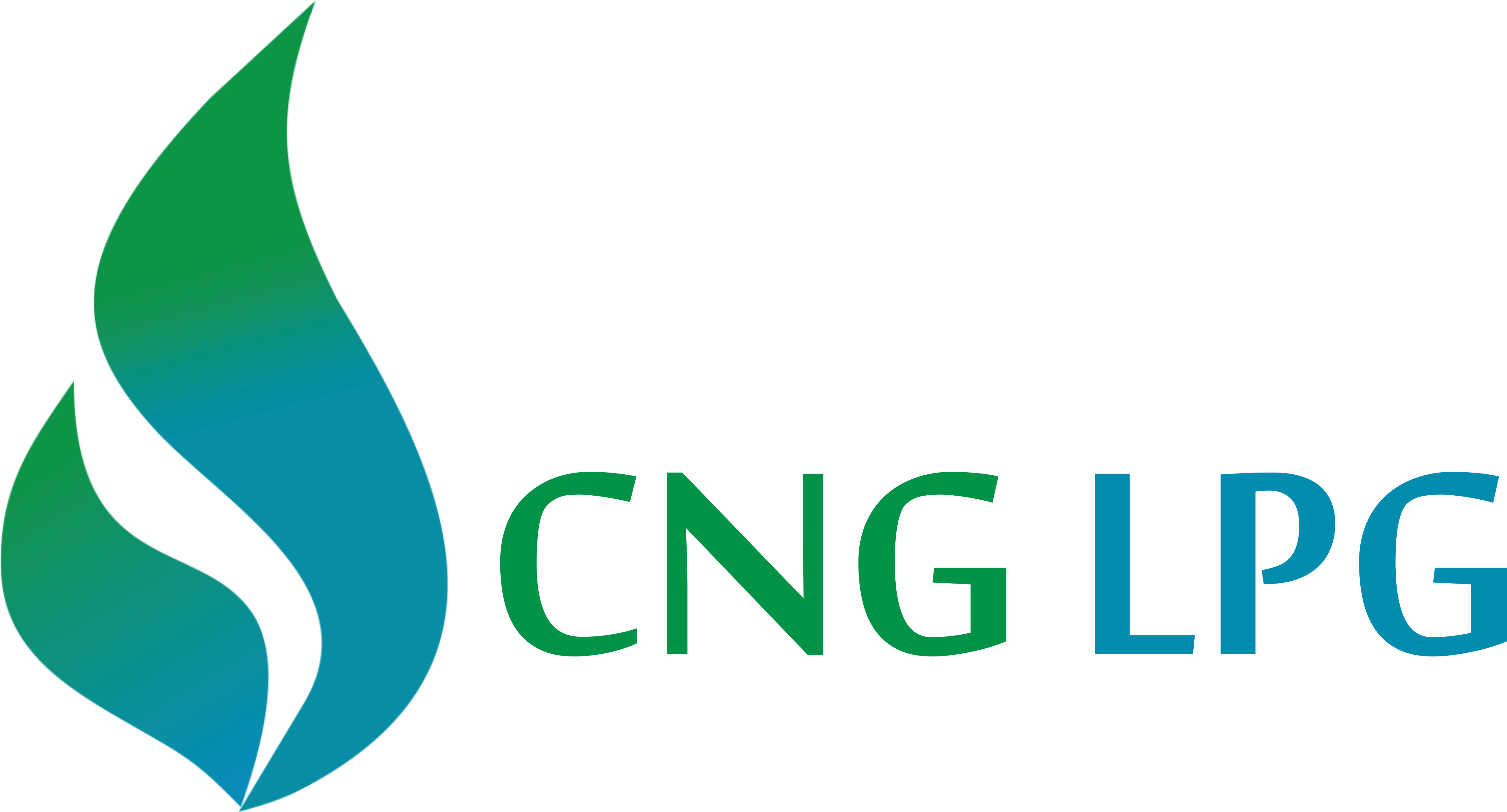 CNG and LPG Gas Filling Pumps