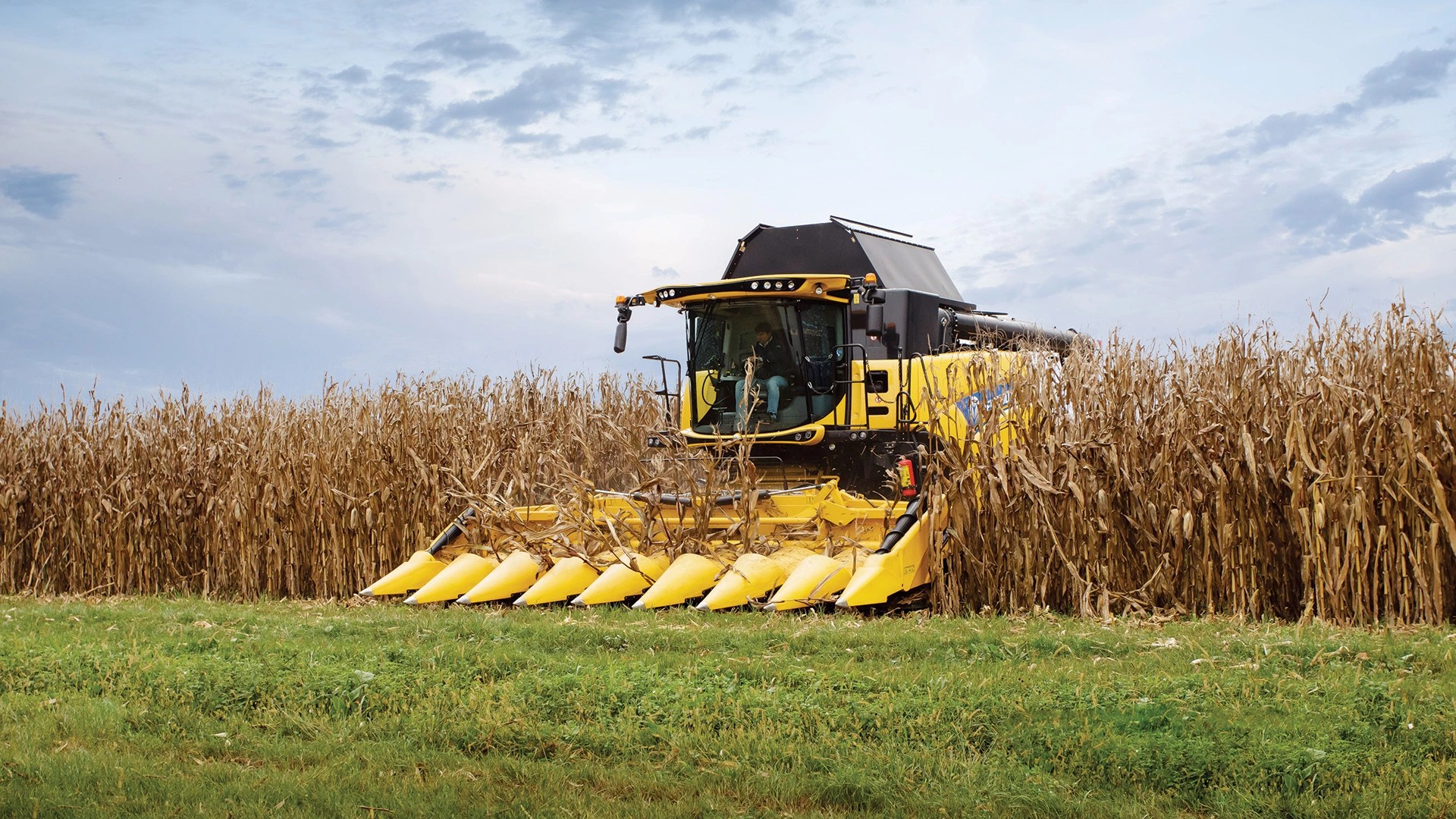 Maize Headers Maize Harvesters New Holland UK