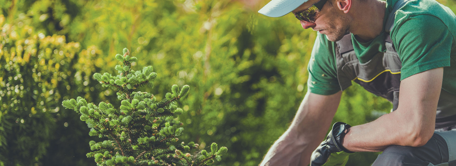 Home CNLA Landscape Horticulture Certification Program