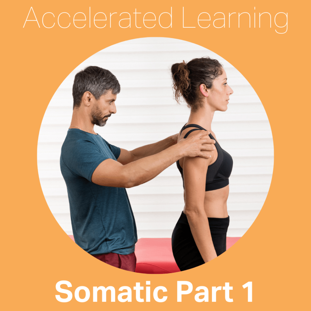 ALP Somatic Part 1 Center for Neurosomatic Studies Massage Therapy