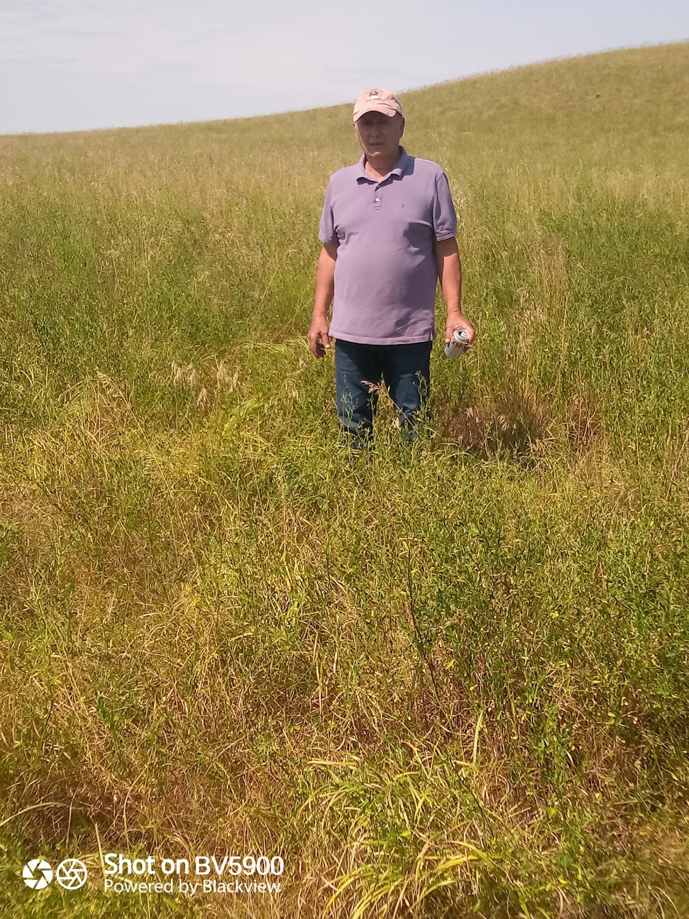 Nationals Open Canadian National Spaniel Field Trial Association