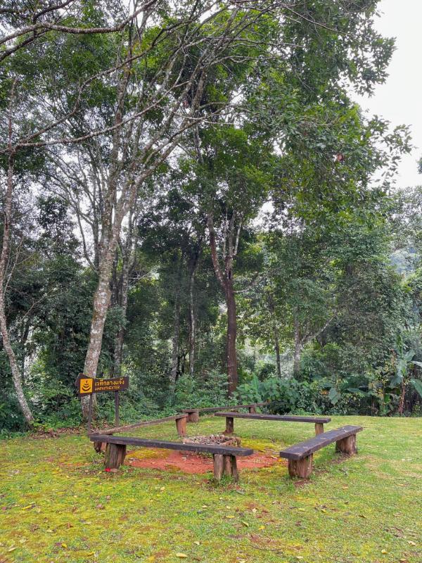 Doi_Pui camping site image Green Explorer Chiang Mai, Camping Gear Rental