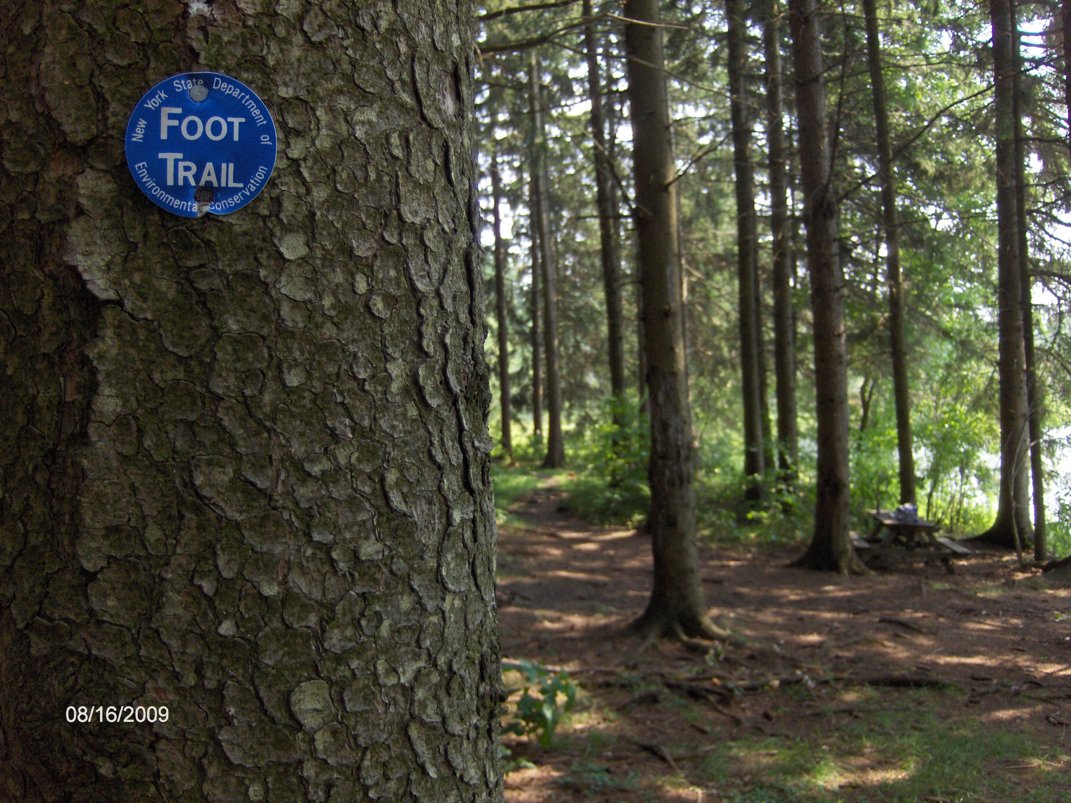 Basswood Pond State Forest