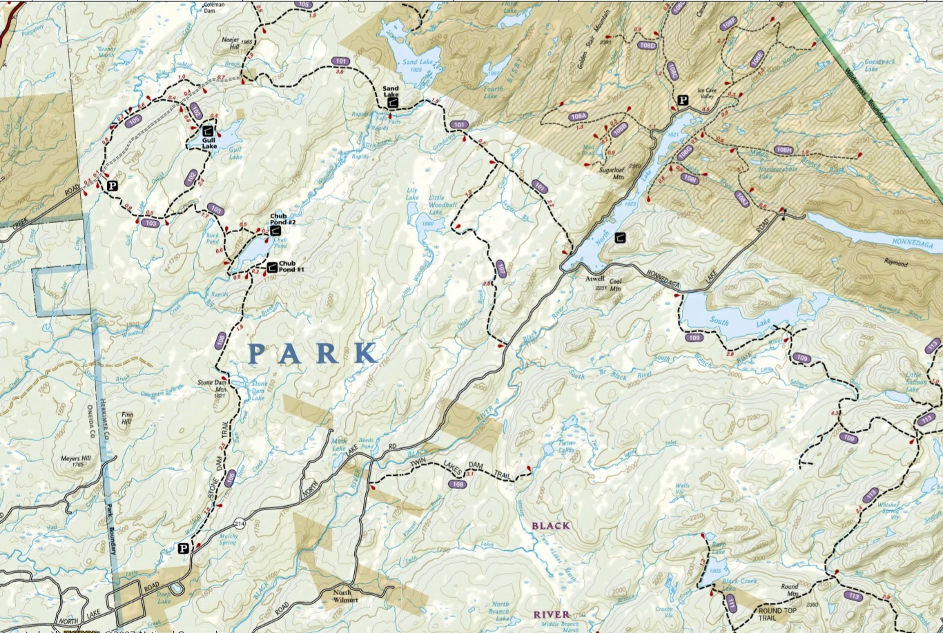 Black River Wild Forest