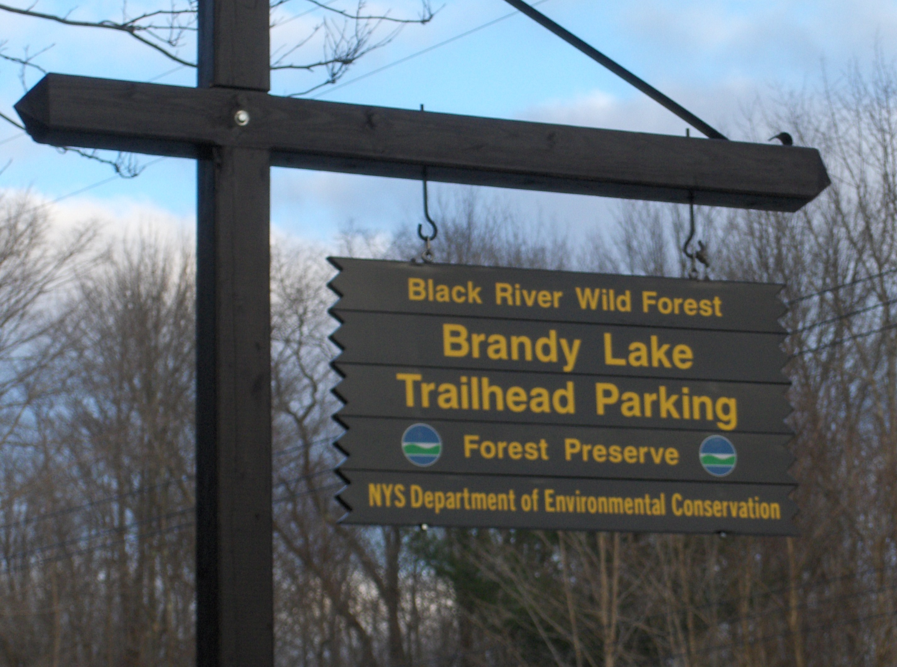 Black River Wild Forest