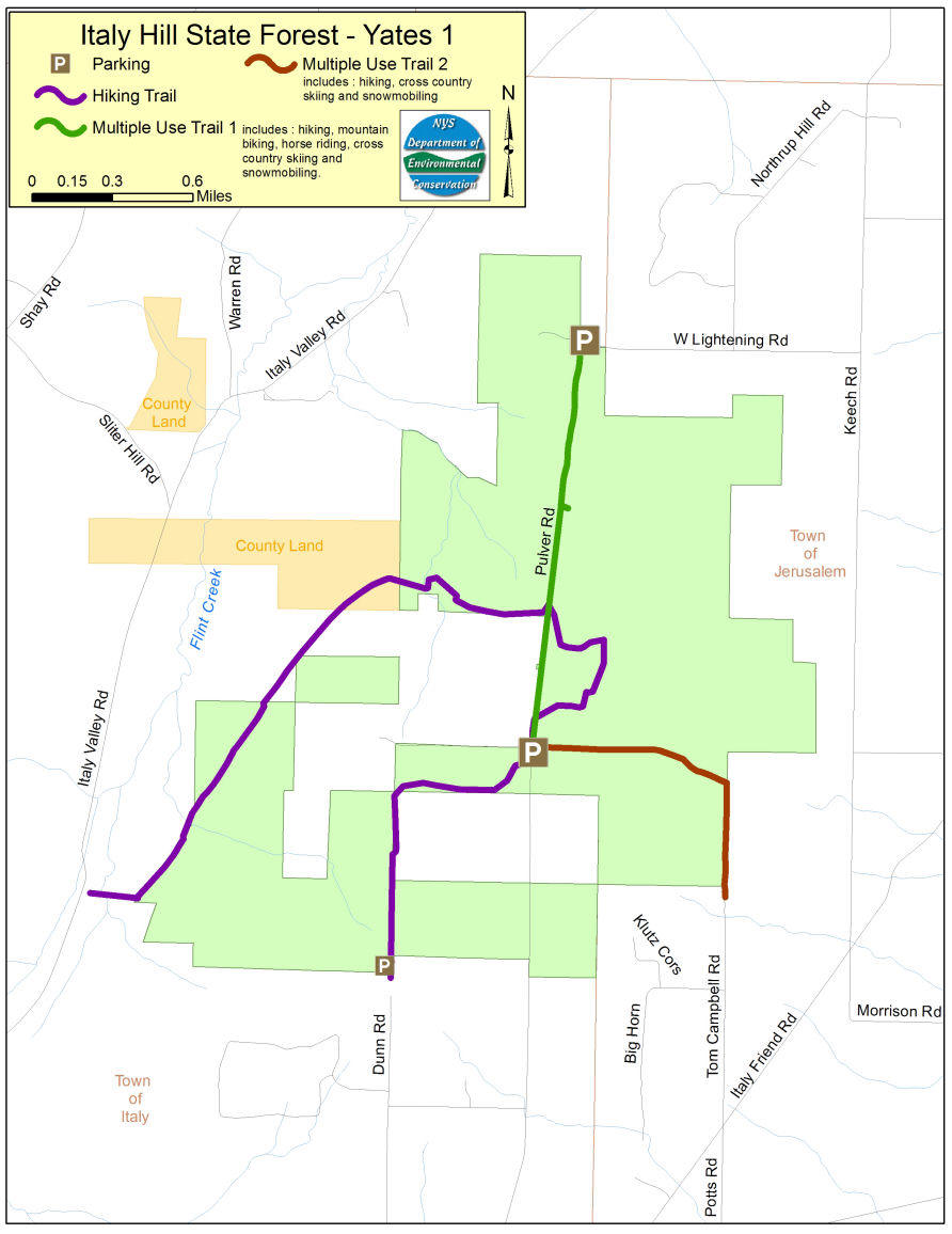 Italy Hill State Forest