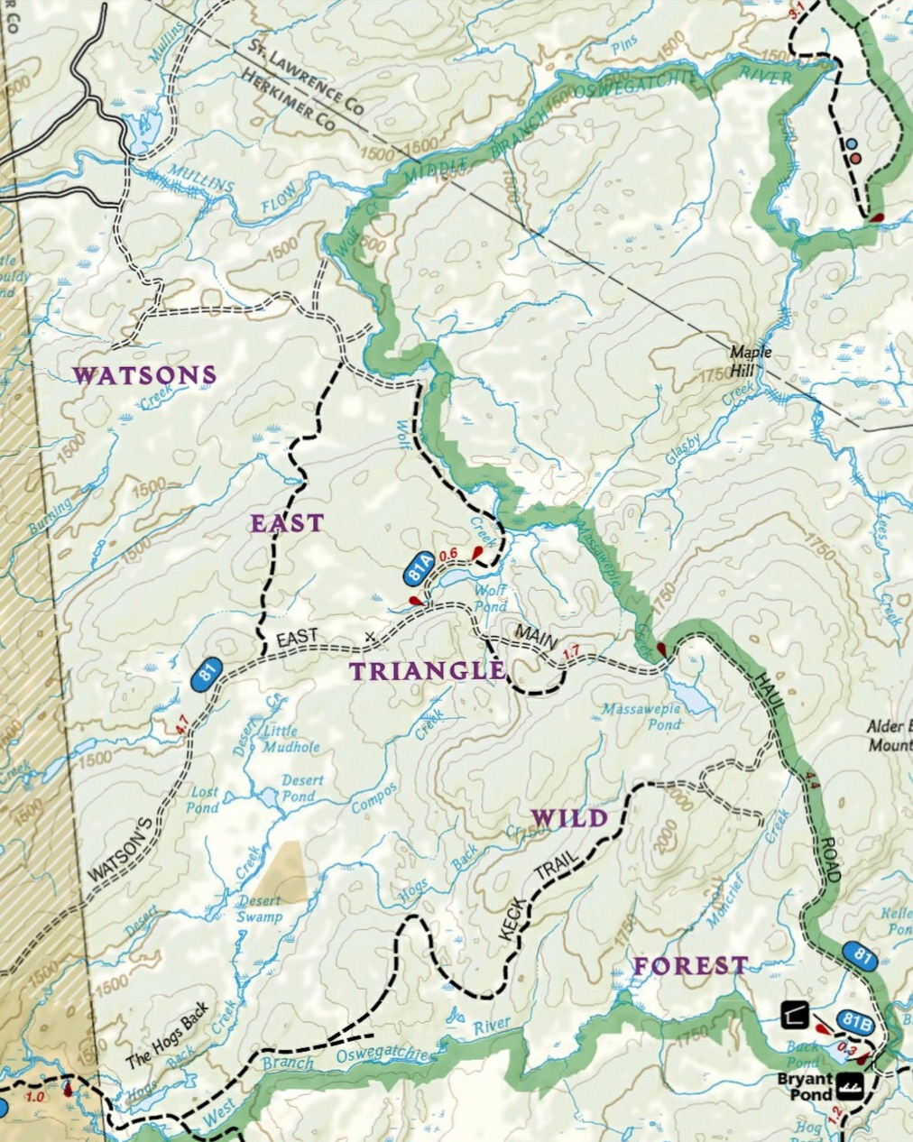 Watsons East Triangle Wild Forest