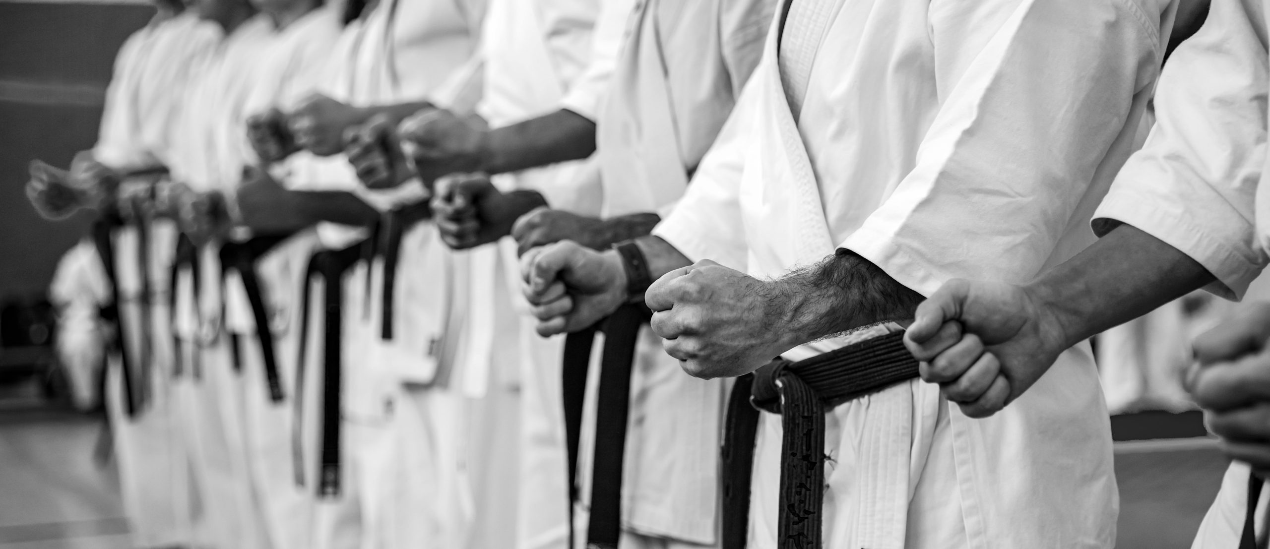 Martial Arts Training for Beginners