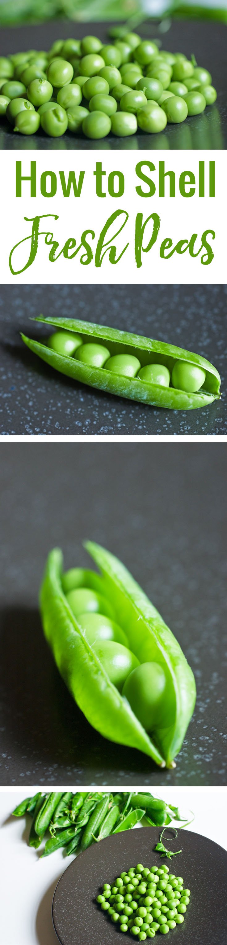 How To Shell Fresh Peas Chocolate & Zucchini